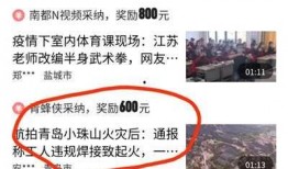 怎么看爆料的视频有收益,如何从热门视频中获利